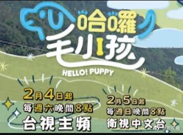 哈啰！毛小孩