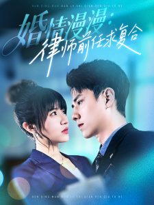 婚情漫漫，律師前任求復合